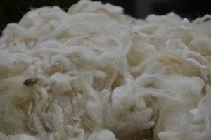 soretex notre société recyclage textile